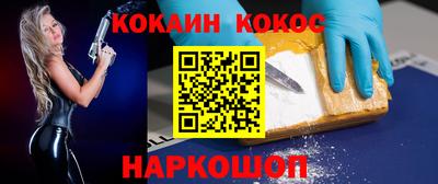 крисы Можга