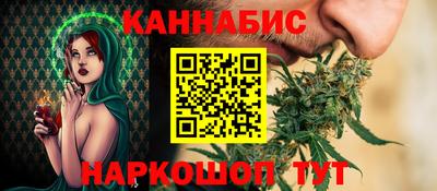 крисы Можга