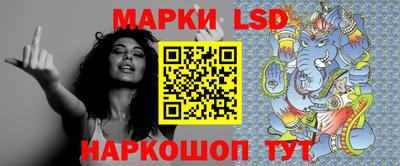 крисы Можга