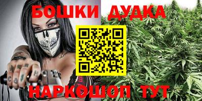 крисы Можга