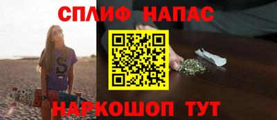 крисы Можга