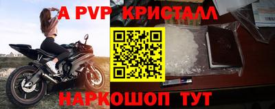 крисы Можга
