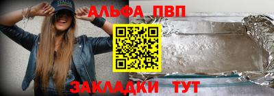 крисы Можга