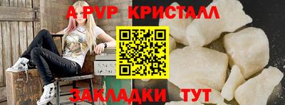 крисы Можга