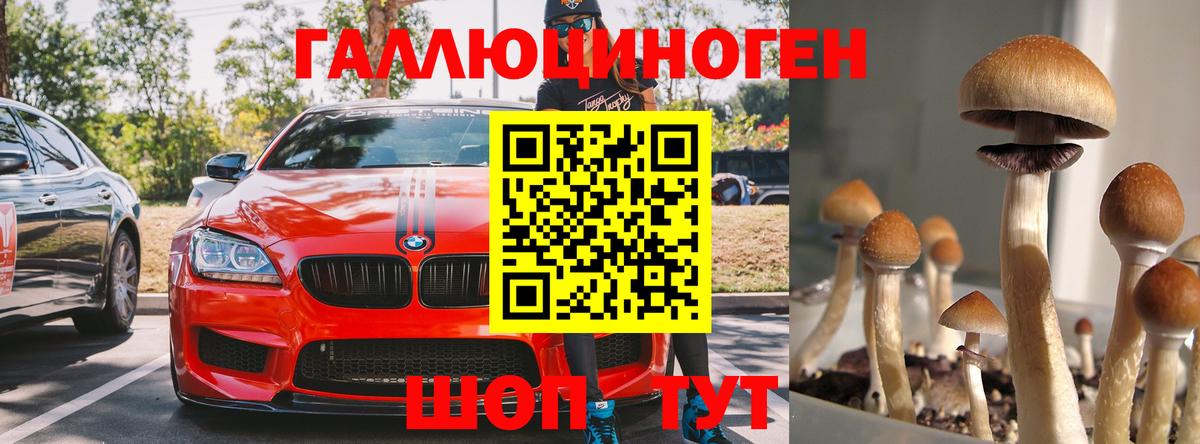 Псилоцибиновые грибы MAGIC MUSHROOMS  Вход с VPN  закладка  Строитель 